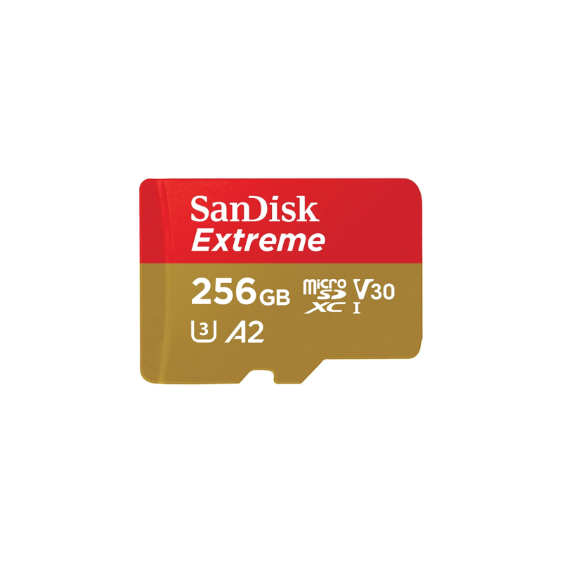 Memoria Micro SD 256GB